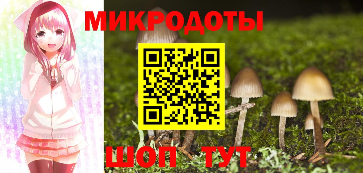 Златоуст  Псилоцибиновые грибы Psilocybe  Галлюциногенные грибы мухоморы  Вход с VPN 